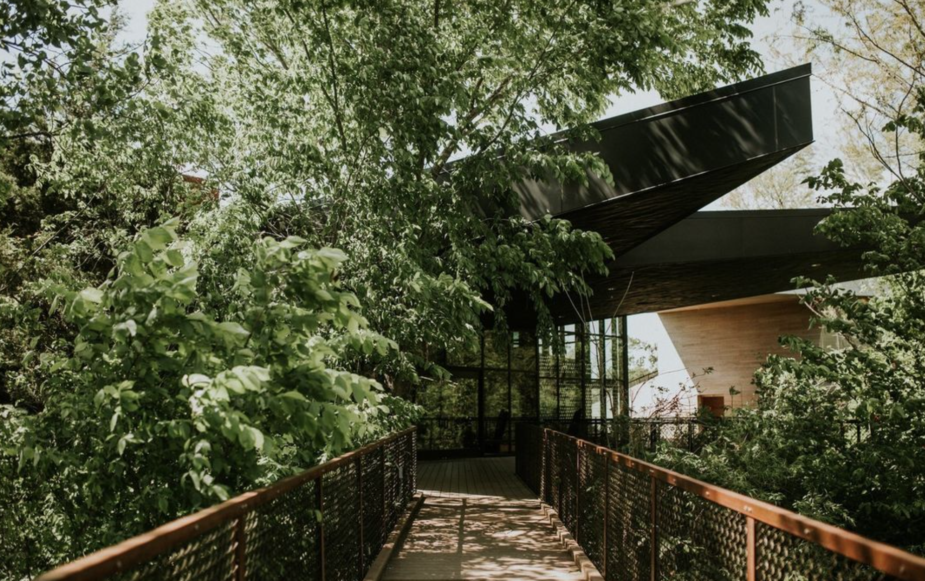 The Wedding Website of Vanessa Peterson and Xavier Montemayor
