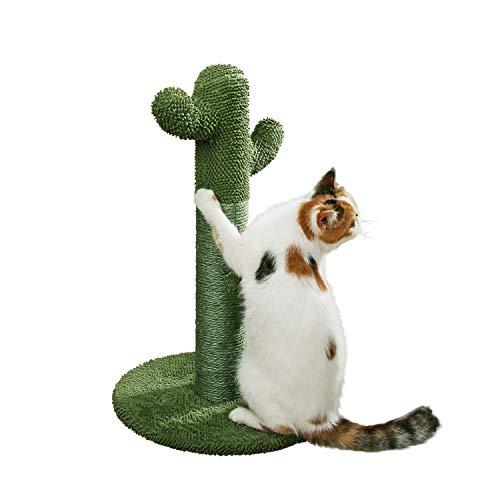 PetnPurr Cat Scratching Post with Teaser Ball: The Cactus Cat Scratcher Your Cat Always Wanted