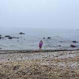 Lloyd's Beach