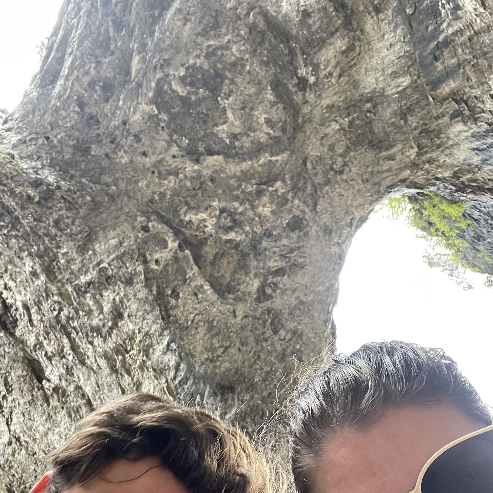 Natural bridge