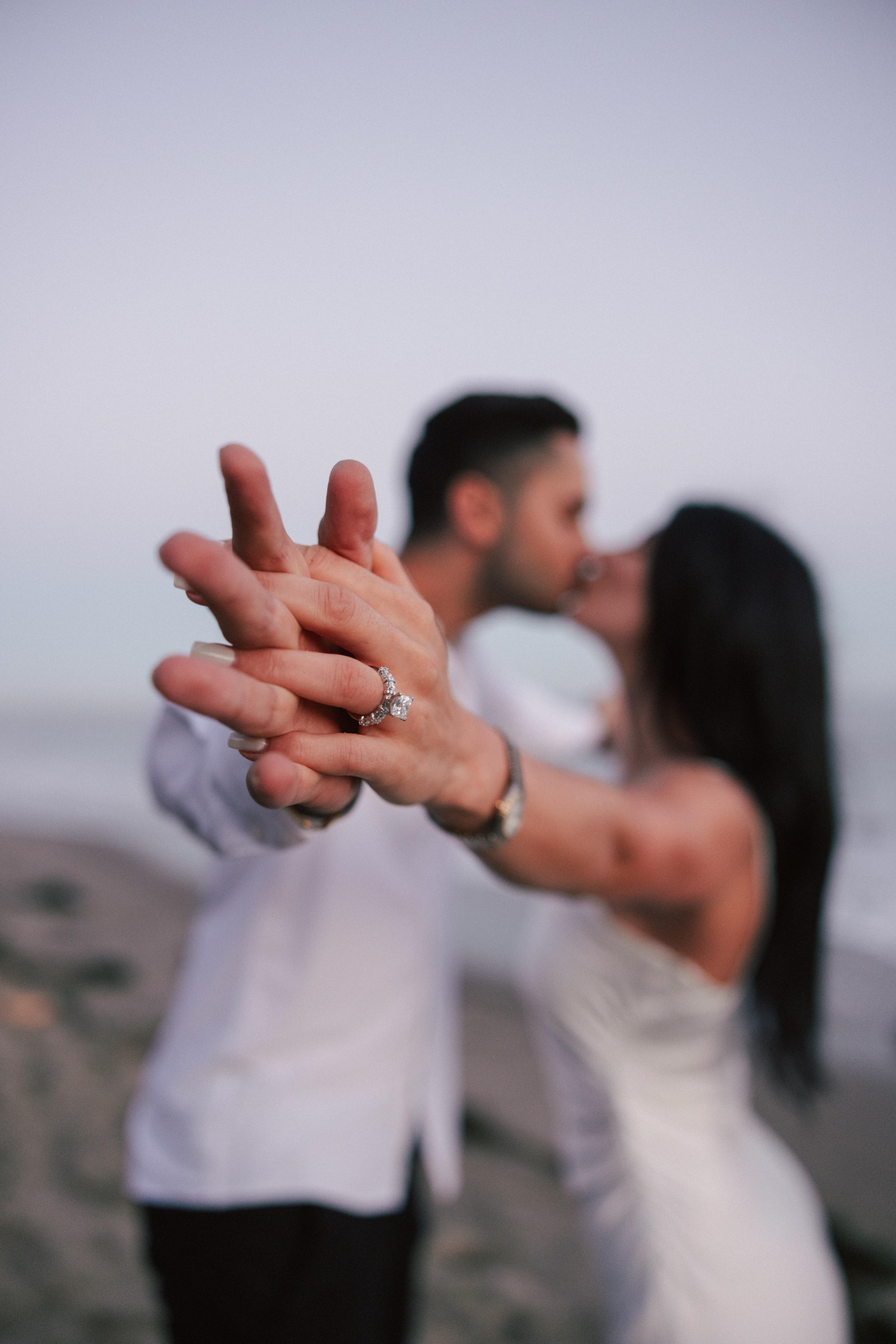 The Wedding Website of Nicole Taimoorazy and Meelad Abraham