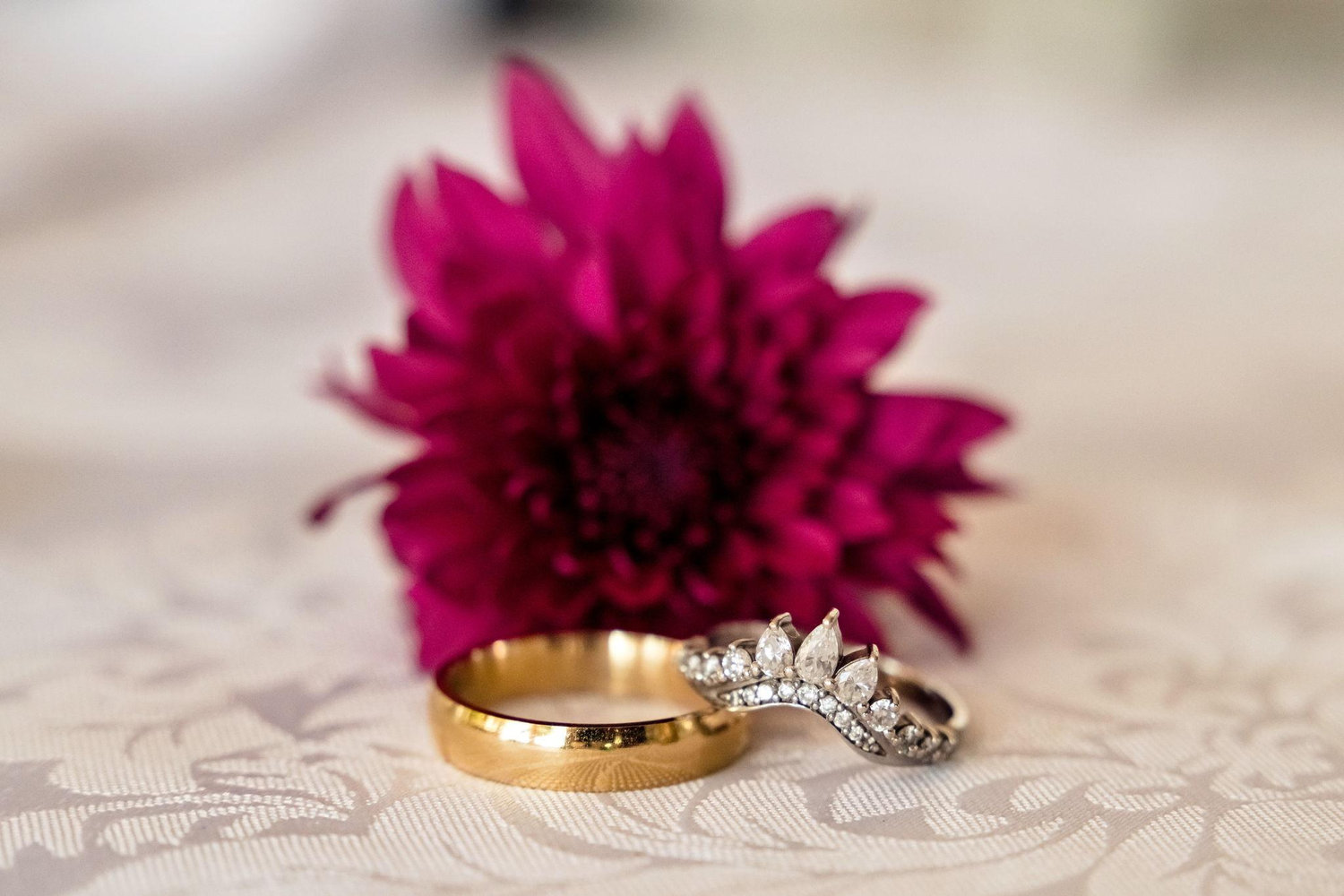 The Wedding Website of Sagarika Sarkar and Baptiste Jouhaud