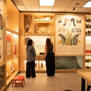 San Diego Natural History Museum Dual Membership