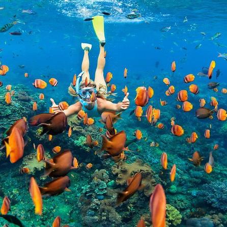Eco-Friendly West Oahu Snorkel with Dolphins