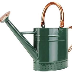 1 Gallon Metal Watering Can with Removable Spout, Nice Galvanized Steel Water Can with Embossed Design for Indoor and Outdoor Plants