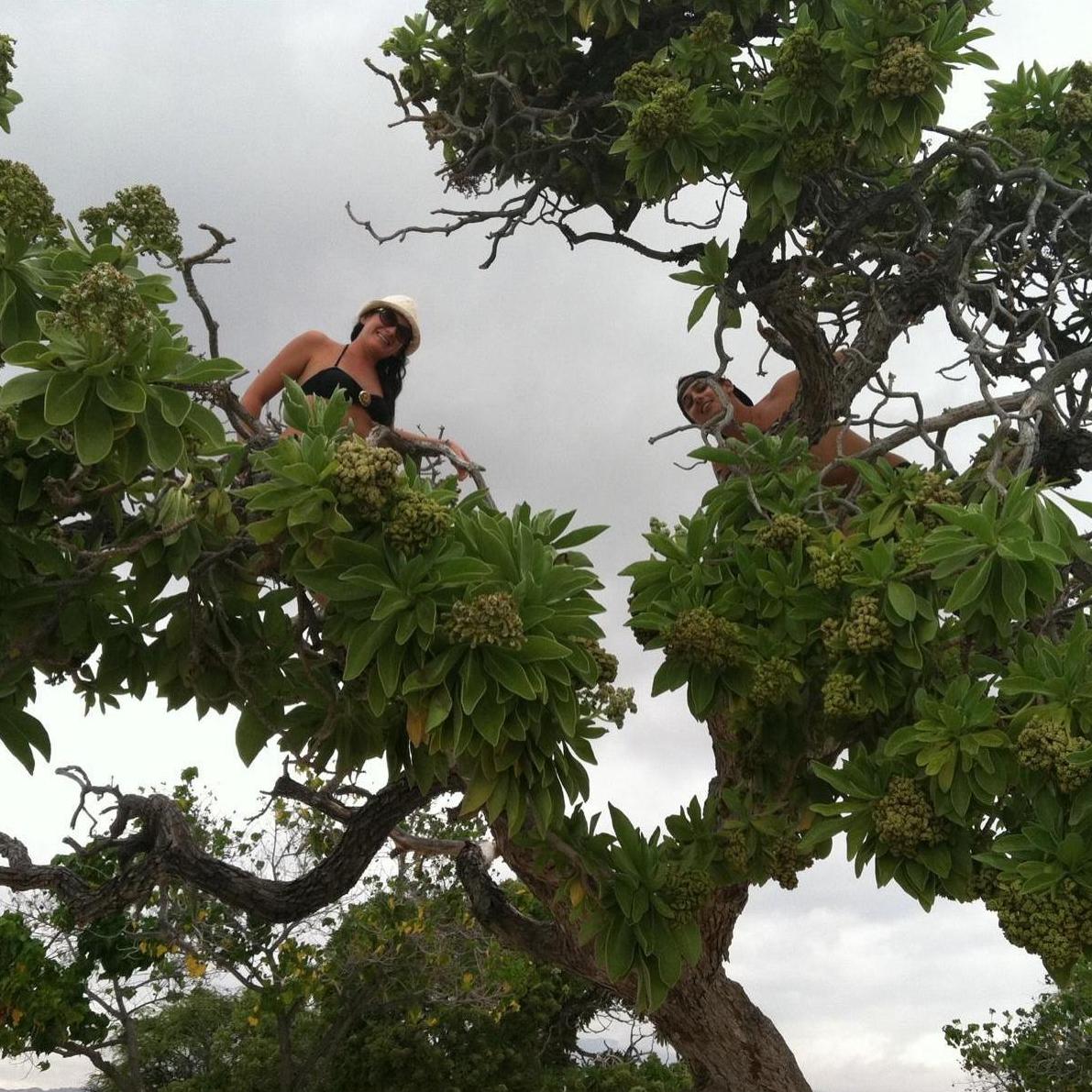 Fell in love in a tree... literally... this is when it all became real