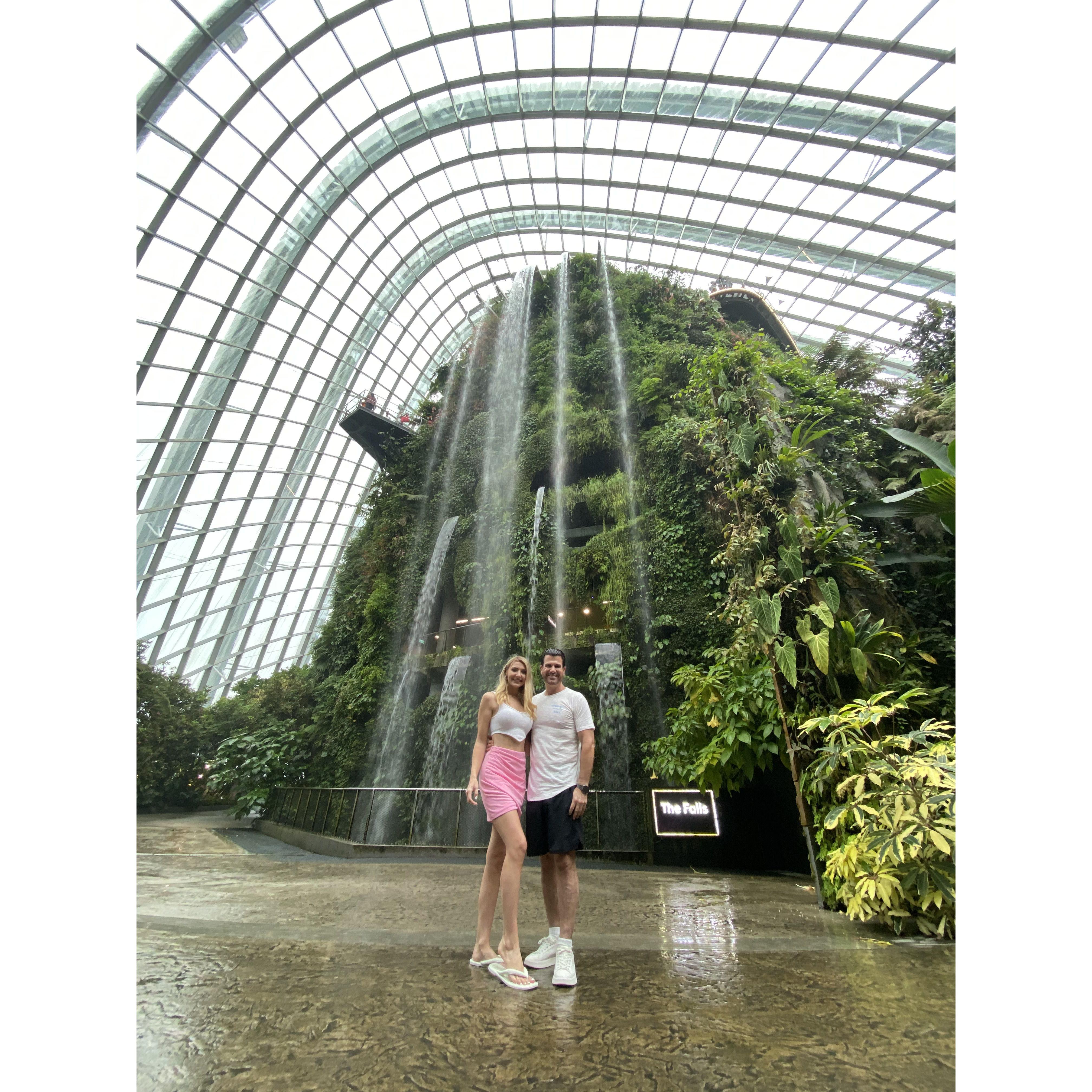 Stunning views of the enchanted forrest and flower dome in Singapore