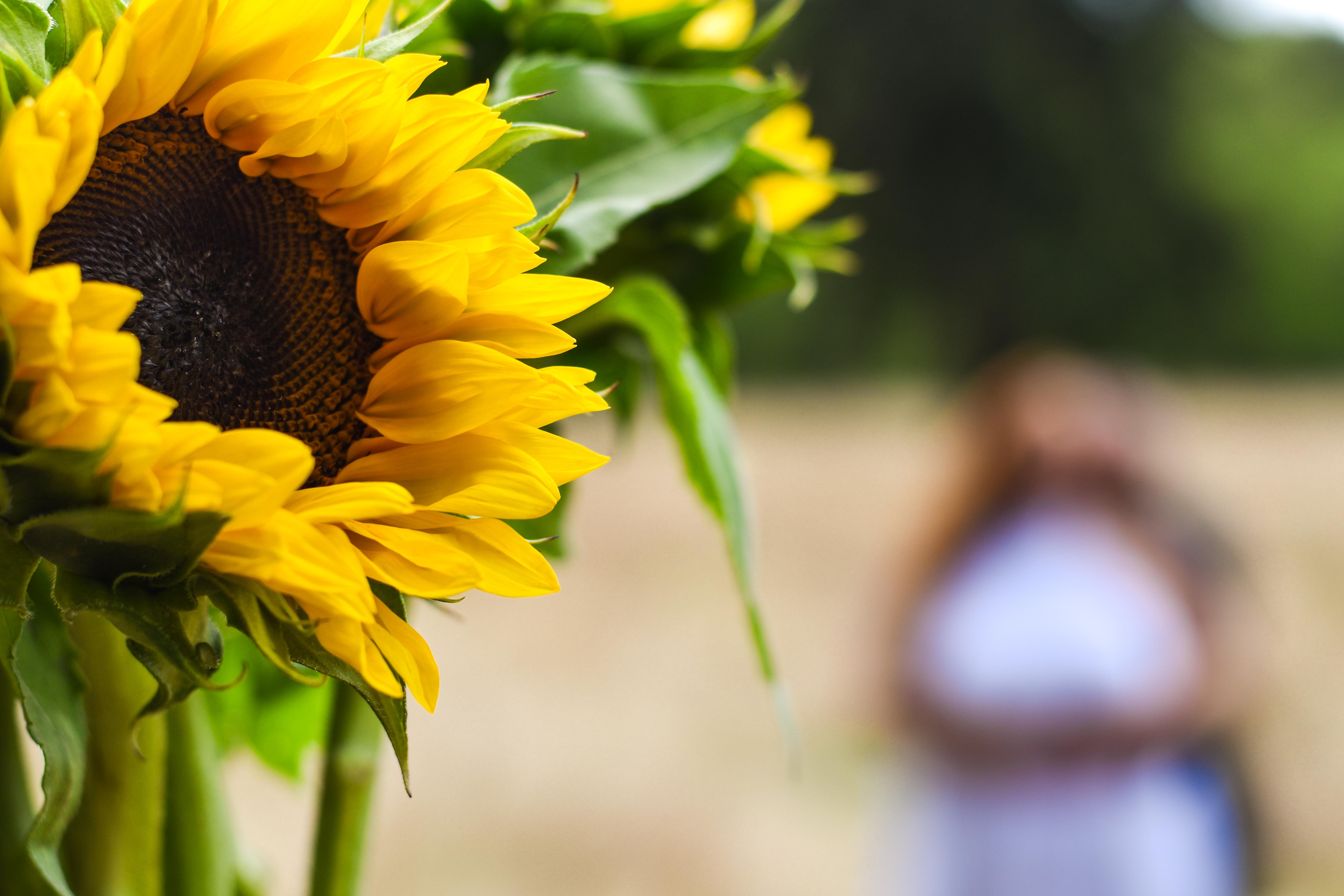 The Wedding Website of Kara Watts and Adam Richards