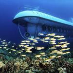 Atlantis Submarines Kona