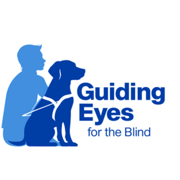 Guiding Eyes for the Blind