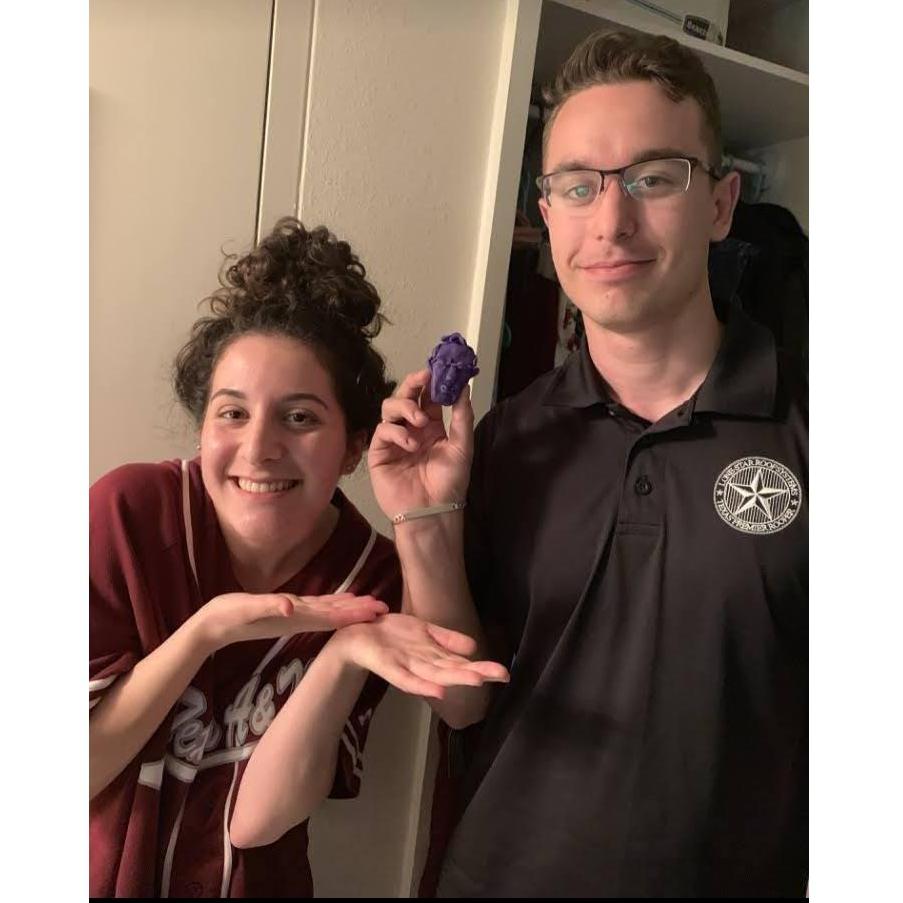our first pic, spring 2019.