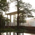 Cypress Lake