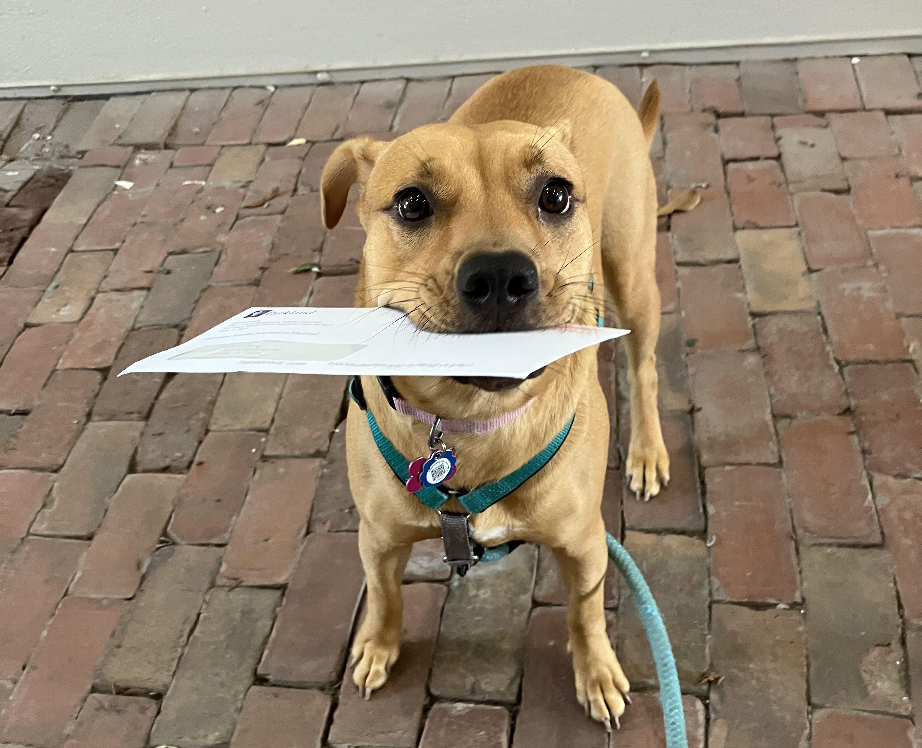 The Wedding Website of Taylor Dubey and Austin Lehrmann