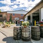 Berkshire Brewing Company