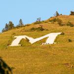Hike the "M" Trail
