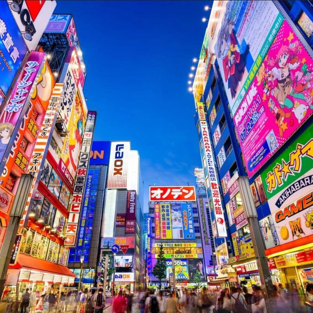 Our Honeymoon Fund to Japan