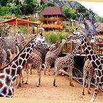 Cheyenne Mountain Zoo