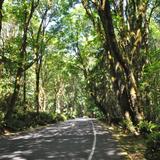 Point Defiance Park