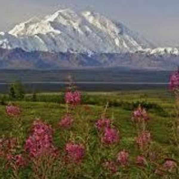 Alaska Honeymoon Fund