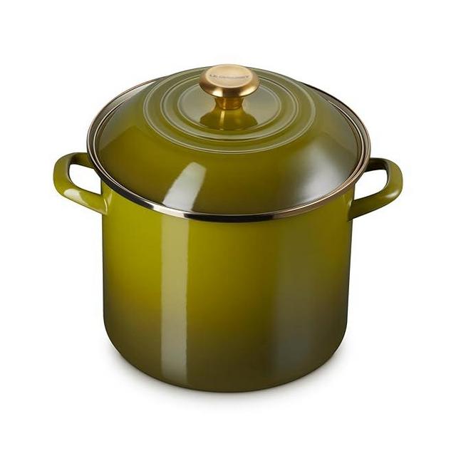 Le Creuset Enamel on Steel Stockpot, 10 qt., Olive