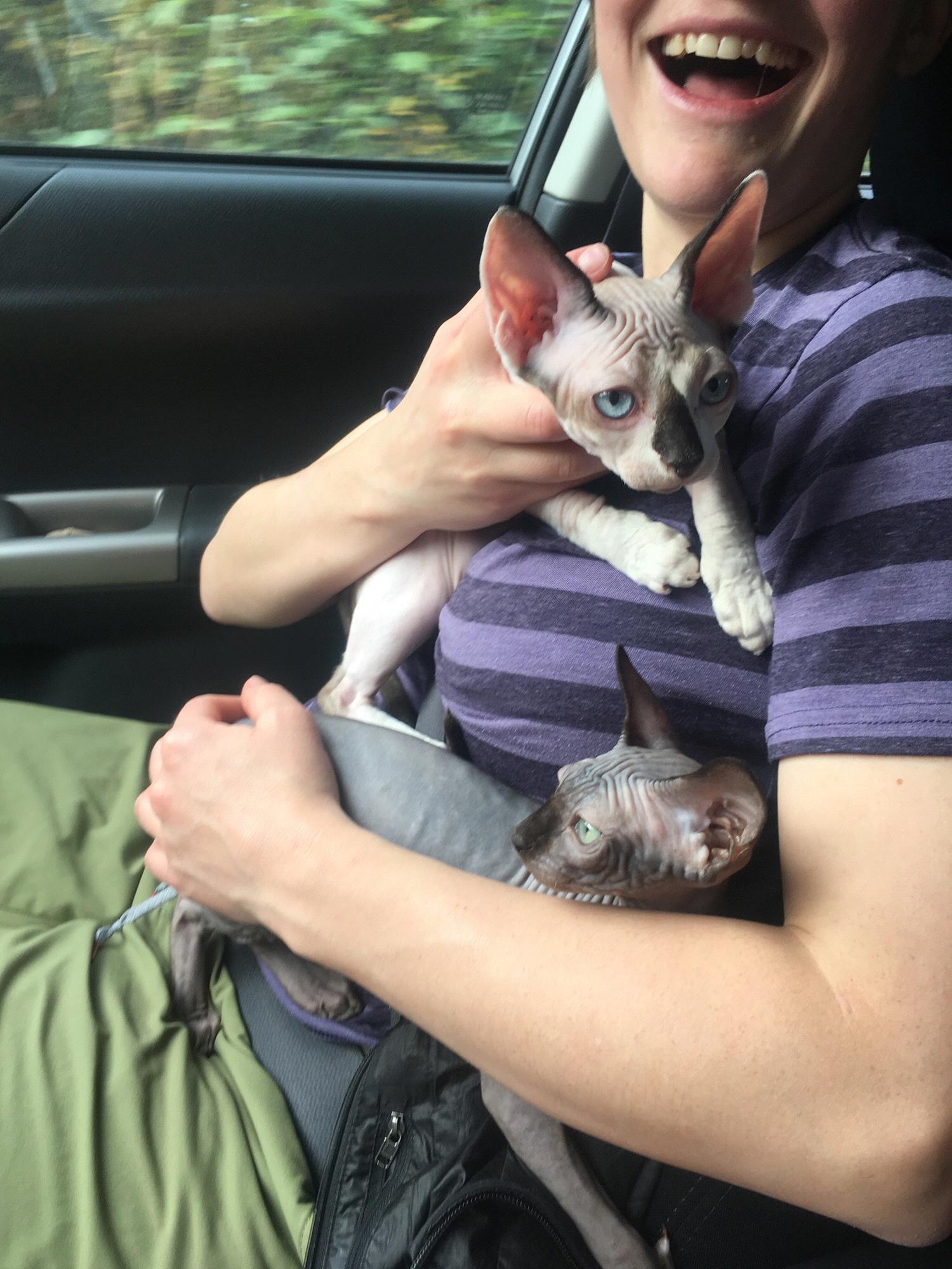 Bringing home Jaime and Cersei