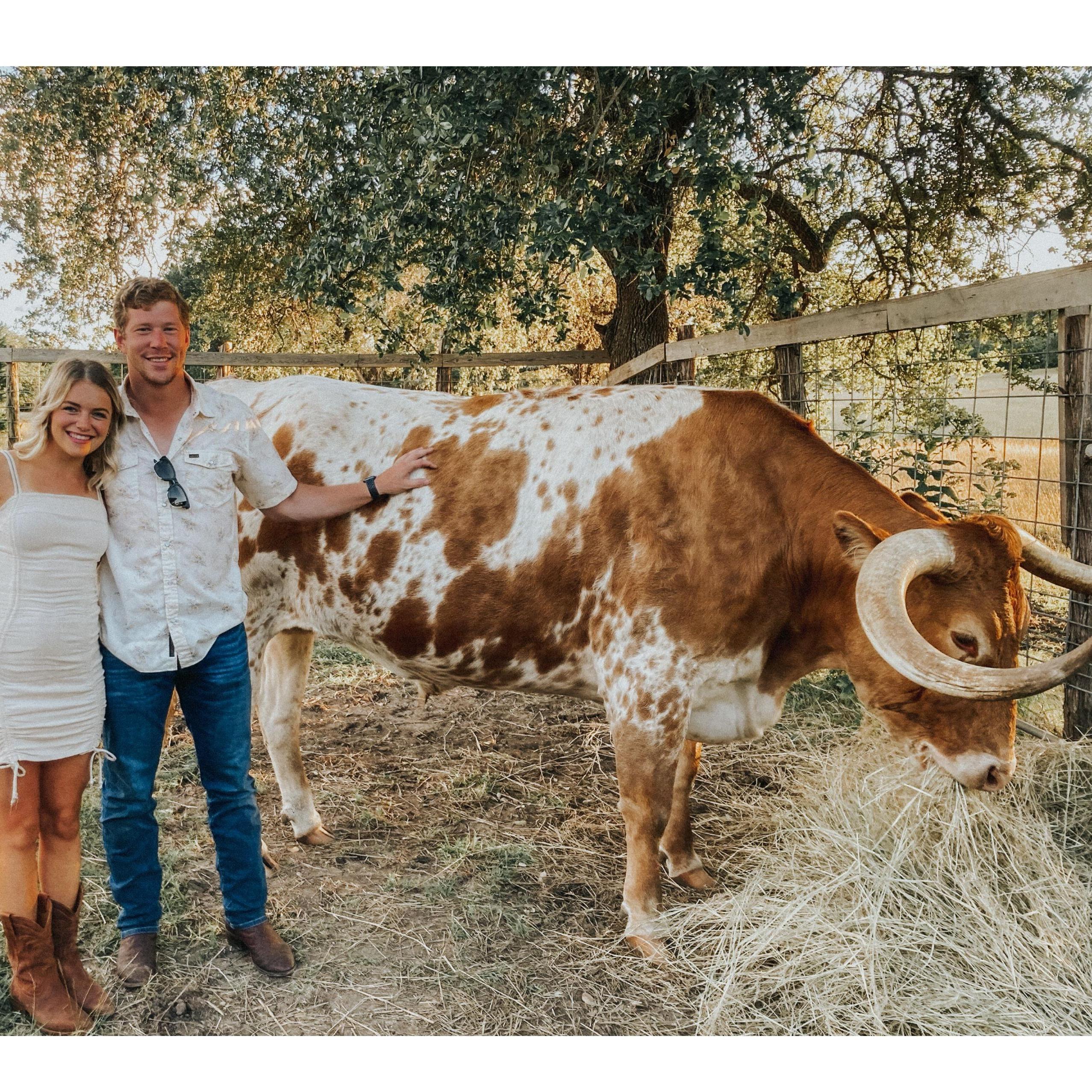 Brooks took Brooke to see Bevo at the Baker's ranch then to Blue Bonnet Cafe! One of her favorite dates to this day.