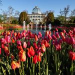 Lewis Ginter Botanical Garden