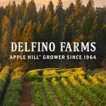 Delfino Farms Edio Vineyards
