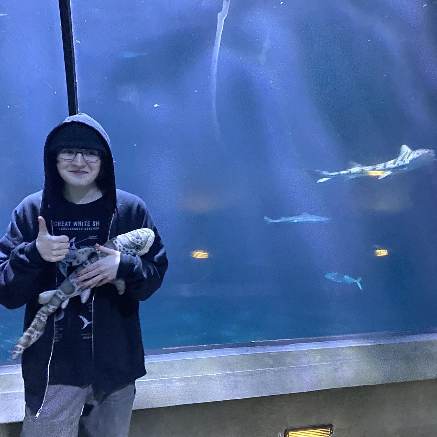Marina absolutely loves sharks! If you see her, ask for a shark fact!