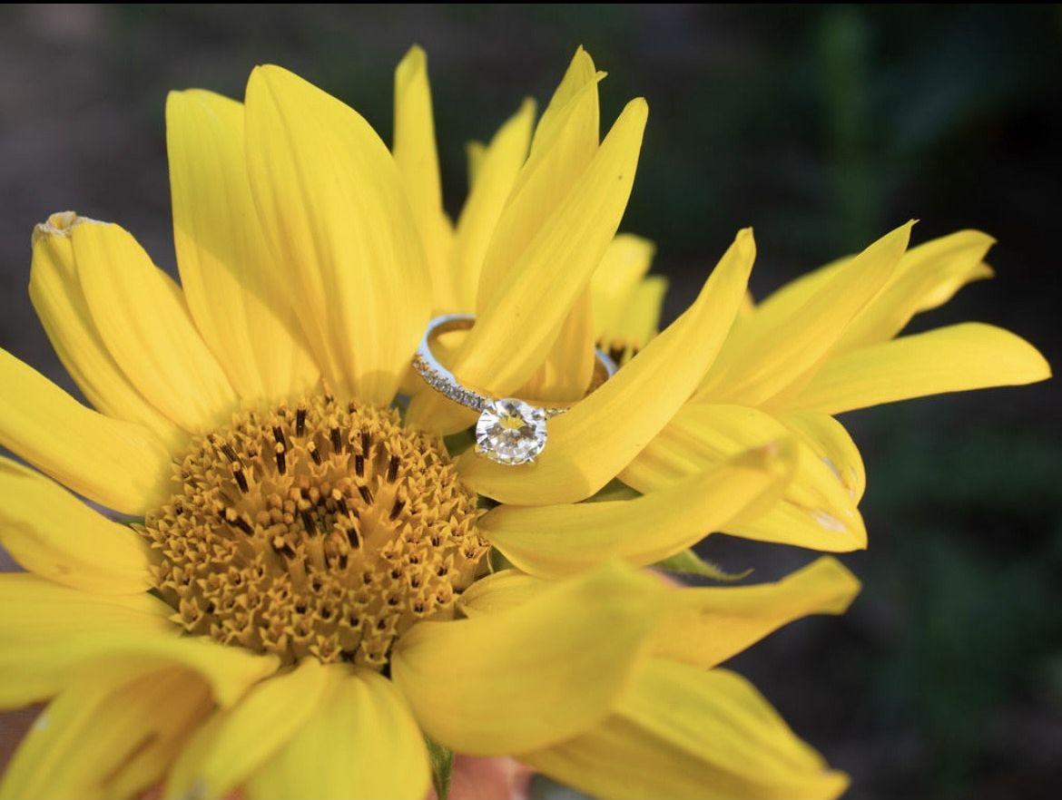 The Wedding Website of Jenna Schultz and Stephan snyder