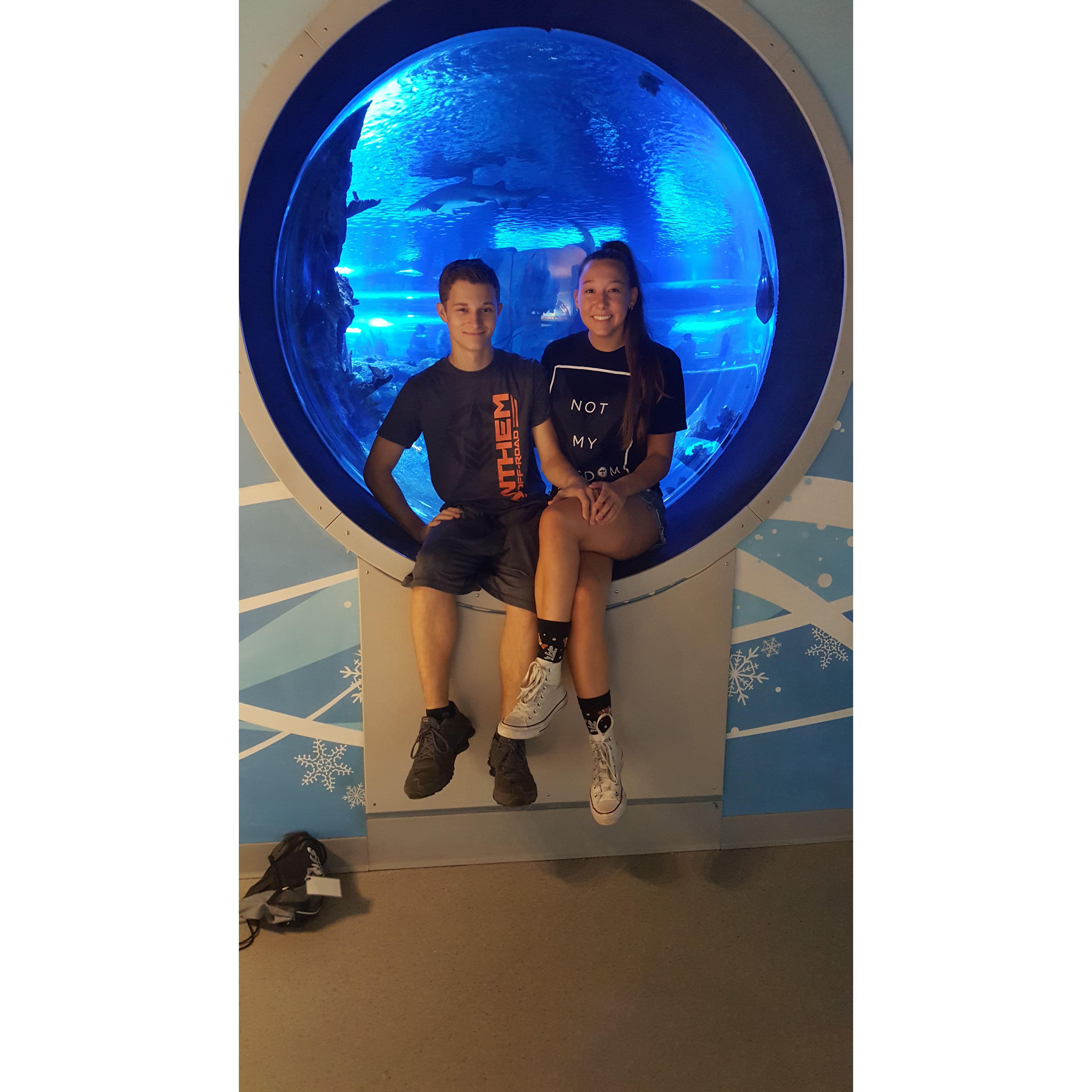 Newport Aquarium