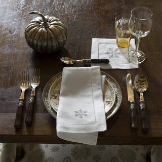 Frost Dinner Napkin, Set of 4