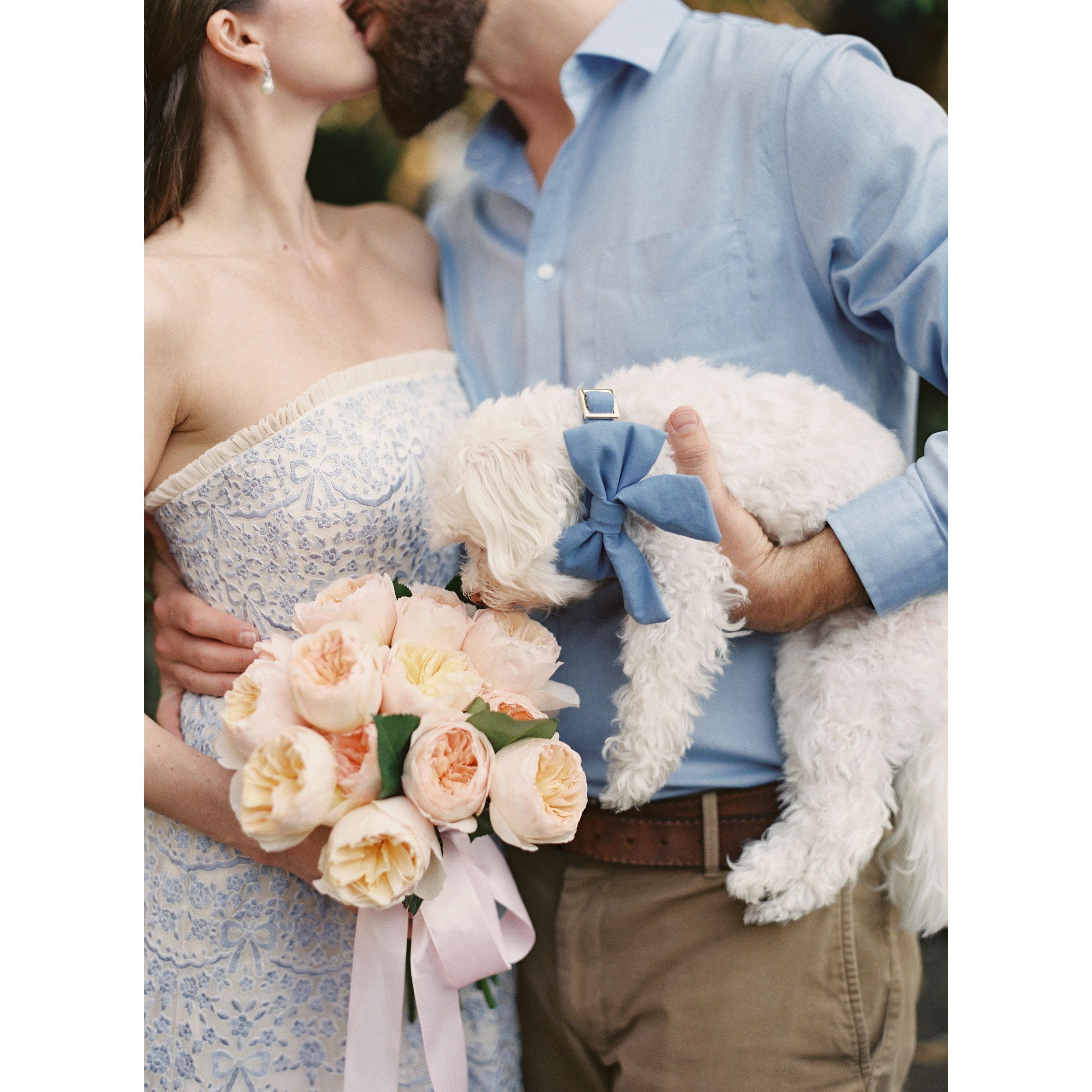 On April 20th, 2023 we began our wedding adventure with a civil ceremony in our home town of Charleston, SC! We were overjoyed to include Eliza Doolittle in the proceedings.