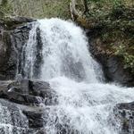 Laurel Falls Trailhead