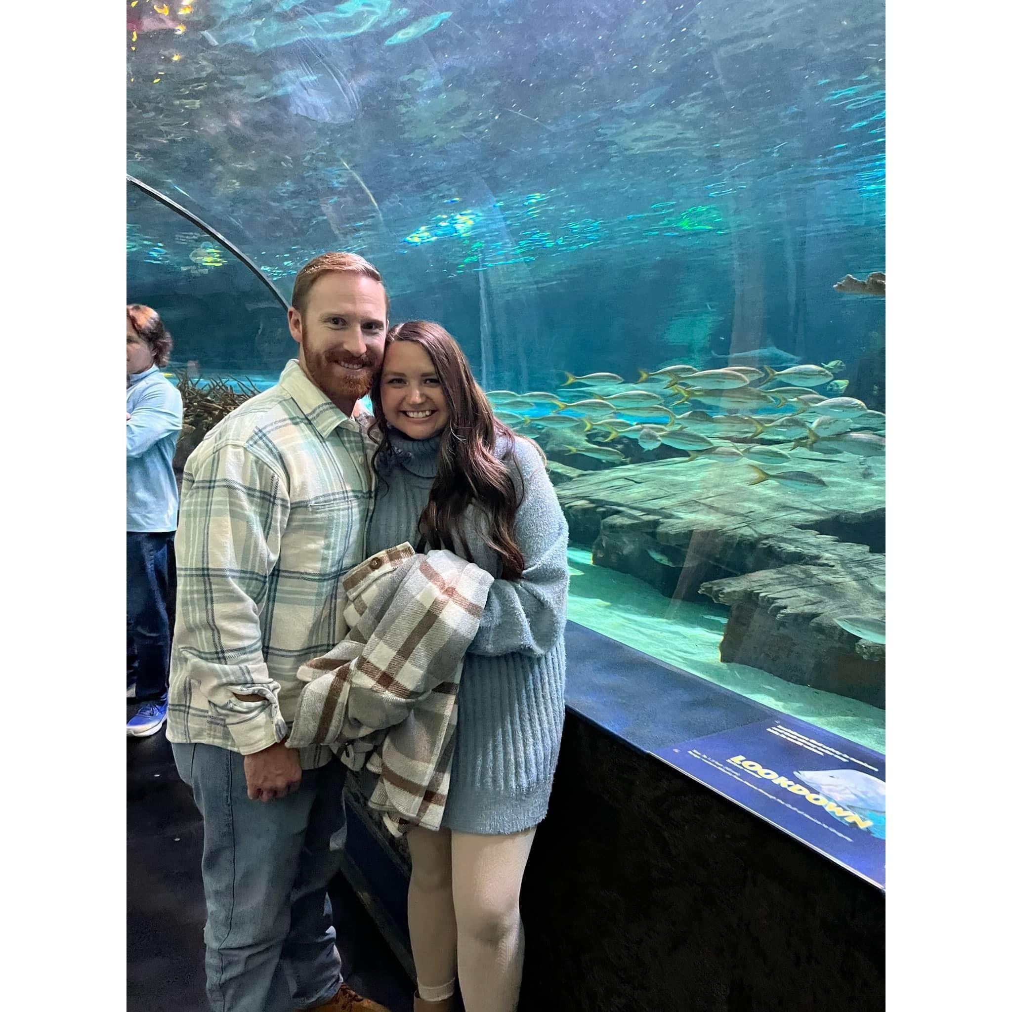 We took a day trip to Gatlinburg and visited the Ripley's Aquariumm!