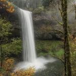Silver Falls State Park
