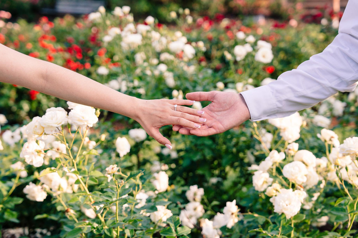 The Wedding Website of Emily Granja and Josean Bauza