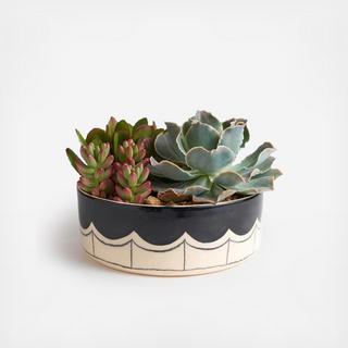 Scalloped Handmade Planter with Succulents