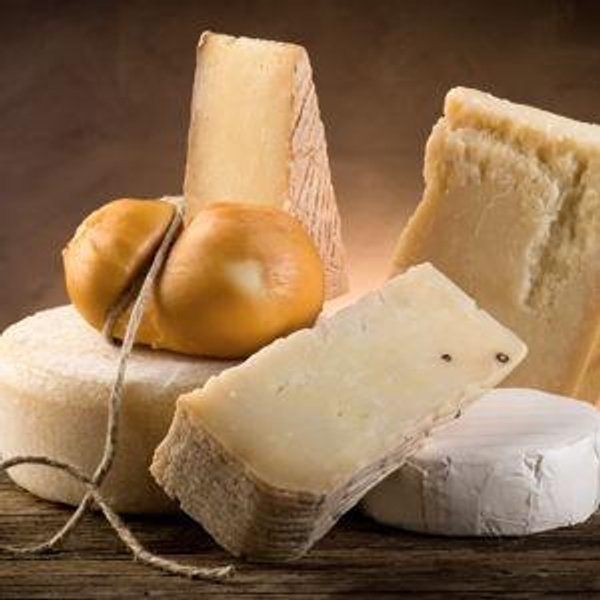 Cheese Tasting in Tuscany