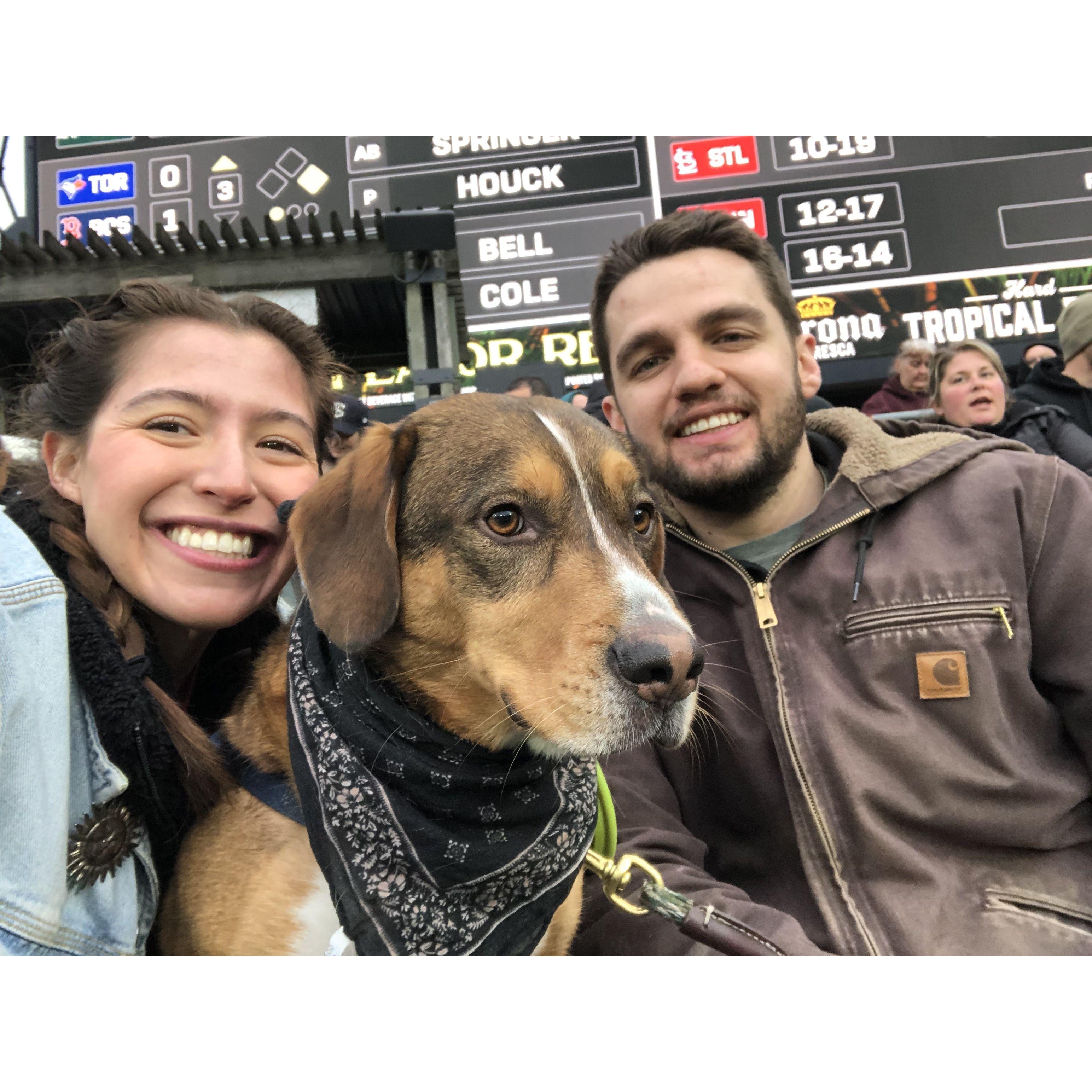 Our dog Frankie we got him together the first week we moved in together May 2019. This photo is from the Sox Pup Game!