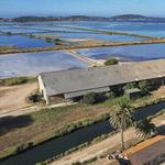 The salt marshes / Le Salin des Pesquiers