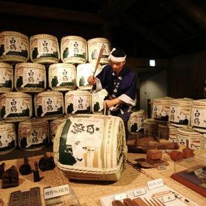 Sake Tour
