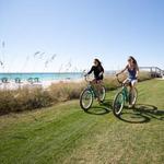 Bike Rentals