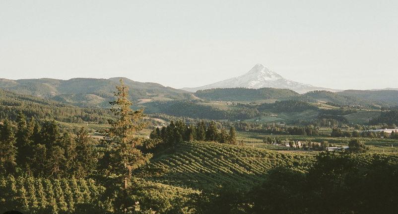 The Wedding Website of Kate Fritz and Steven Taylor