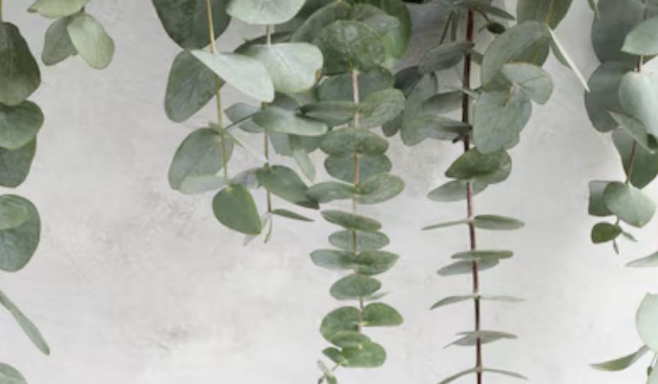 Footer image