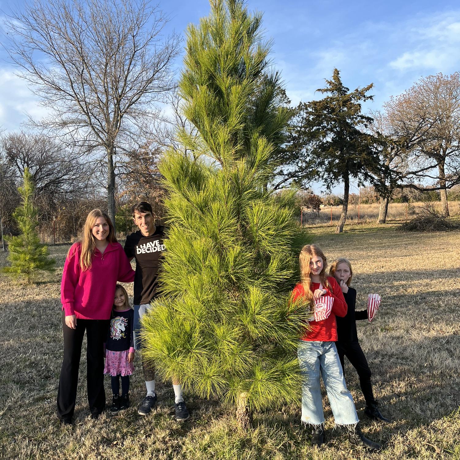 Cutting our Christmas tree!