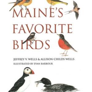Maine's Favorite Birds