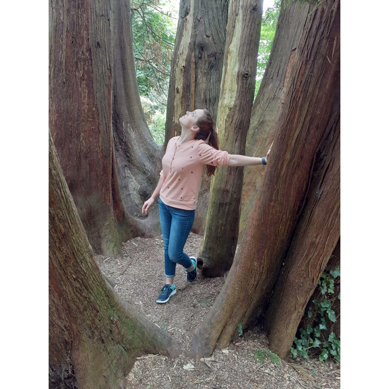 Grounds of Blarney Castle, Ireland 