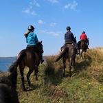 Lunga Riding Stables