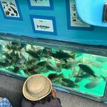Glass Bottom Boat Tours